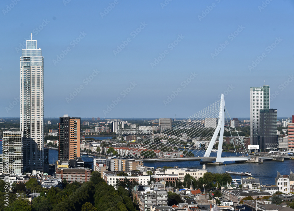 Fototapeta premium Rotterdam skyline