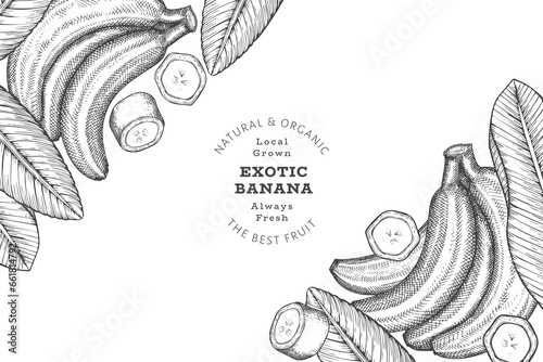 Hand drawn sketch style banana banner. Organic fresh fruit vector illustration. Retro exotic fruit design template