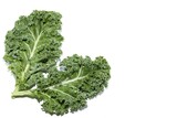 Two green leaves of the super nutritious vegetable called Kale, isolated on white background, copy space