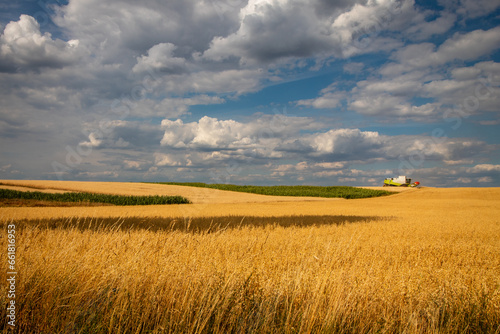 Harvest