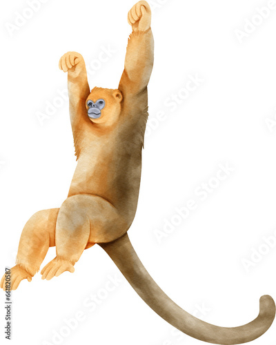 Photography Watercolor golden snub nosed monkey