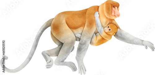 Obraz na płótnie Watercolor Monkey. Proboscis