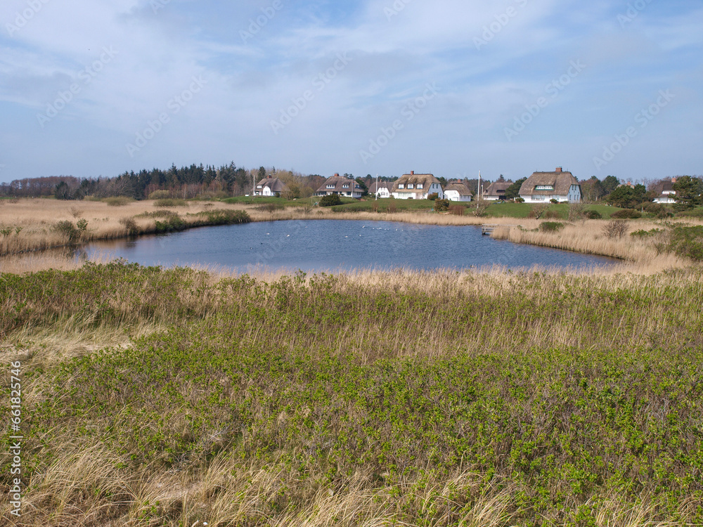 Countryside Harmony: Lakeside Homes Amidst the Marsh