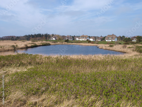 Countryside Harmony: Lakeside Homes Amidst the Marsh