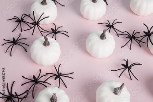  white mini pumpkins aligned symmetrically in the middle of a spider infestation