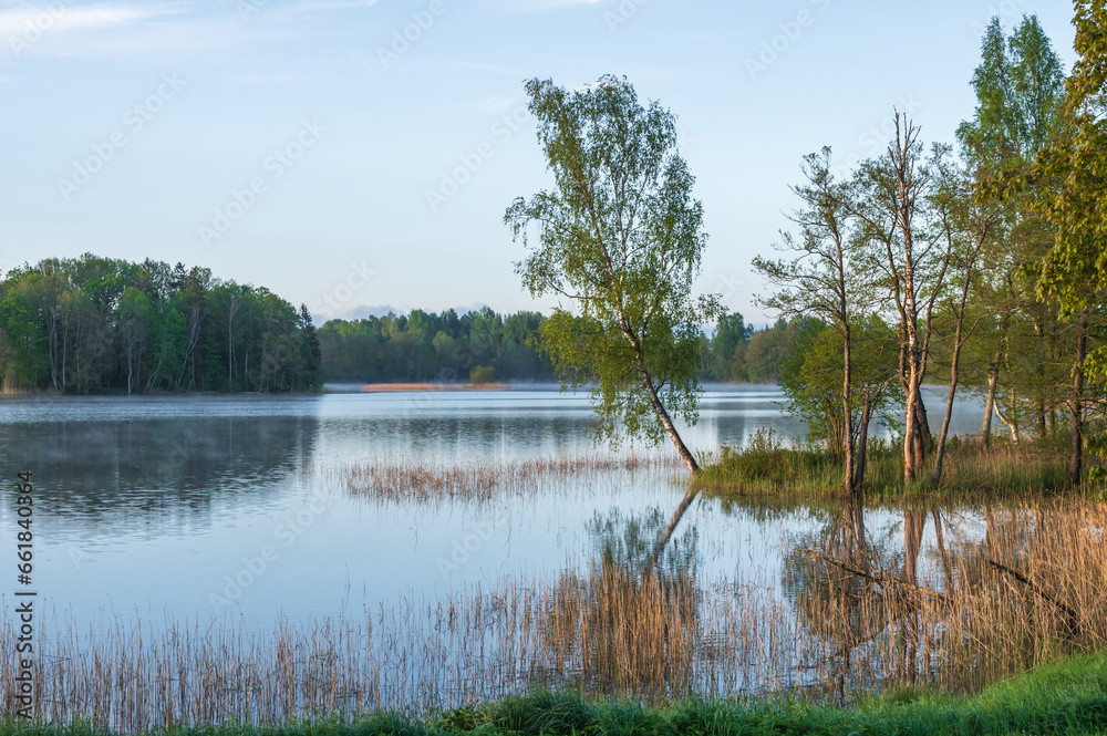 Morning mist on calm lake surface in the forest