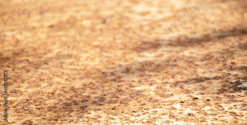 Light orange texture. Horizontal surface for place objects. Bright colorful background with space for design. Selective focus. Aged rusty iron texture like a good grunge background