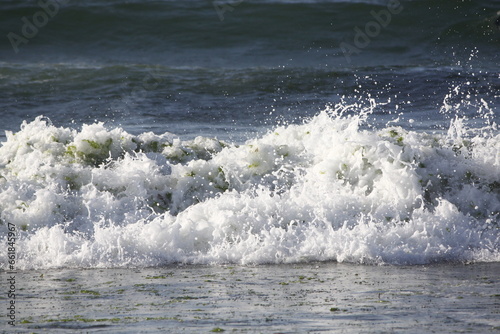 Olas rompiendo en la orilla del mar en una playa de Galicia del Océano Atlántico con algas verdes y espuma en un día soleado de verano