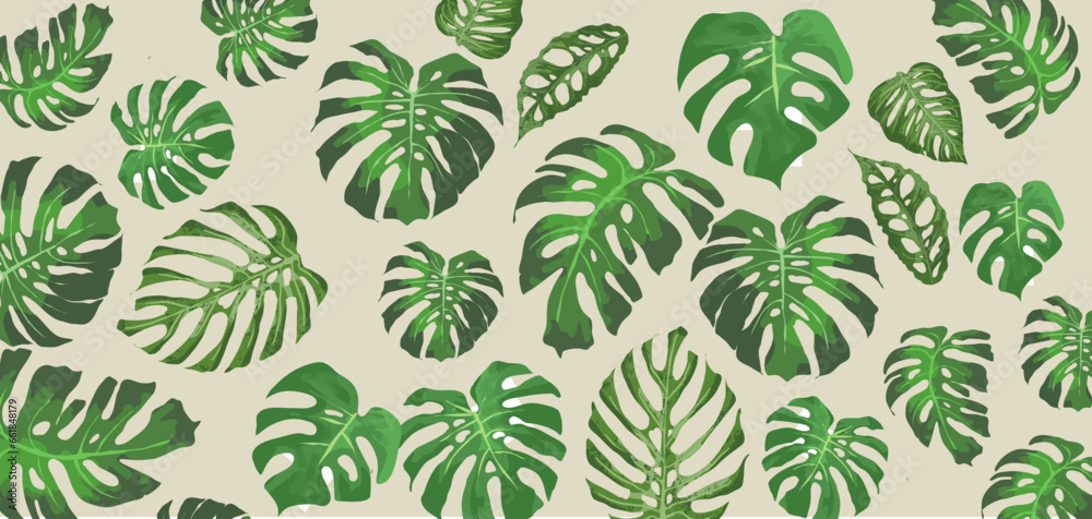 green monstera leaves background green monstera leaves background