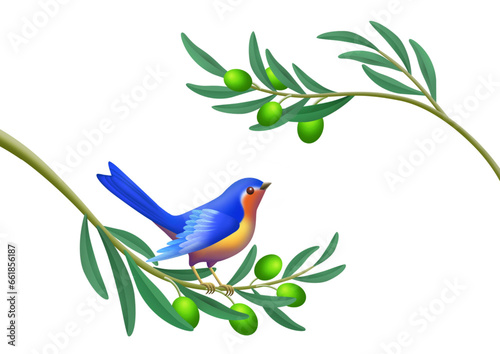blue bird on the olive tree