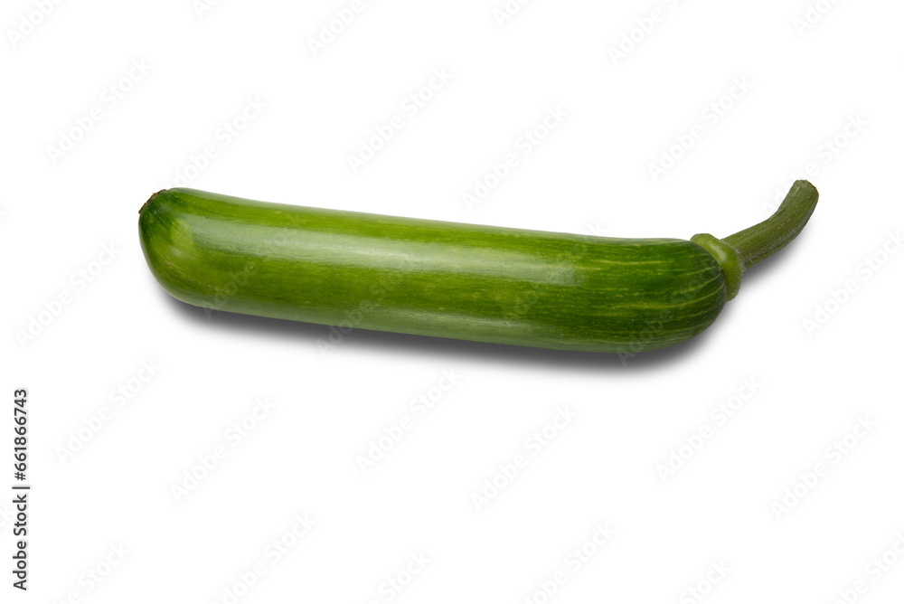 Green zucchini on a white background.
Korea's native zucchini. It is called Aehobak in Korea. Green zucchini on a white background.
Korea's native zucchini. It is called Aehobak in Korea.