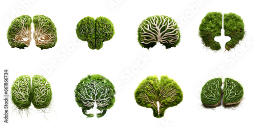 brain made of grass collection, isolated on transparent background, Generative AI