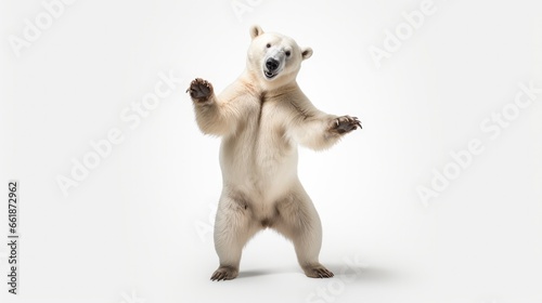 White polar bear dancing happily isolated on white background