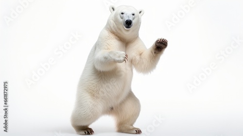 White polar bear dancing happily isolated on white background photo