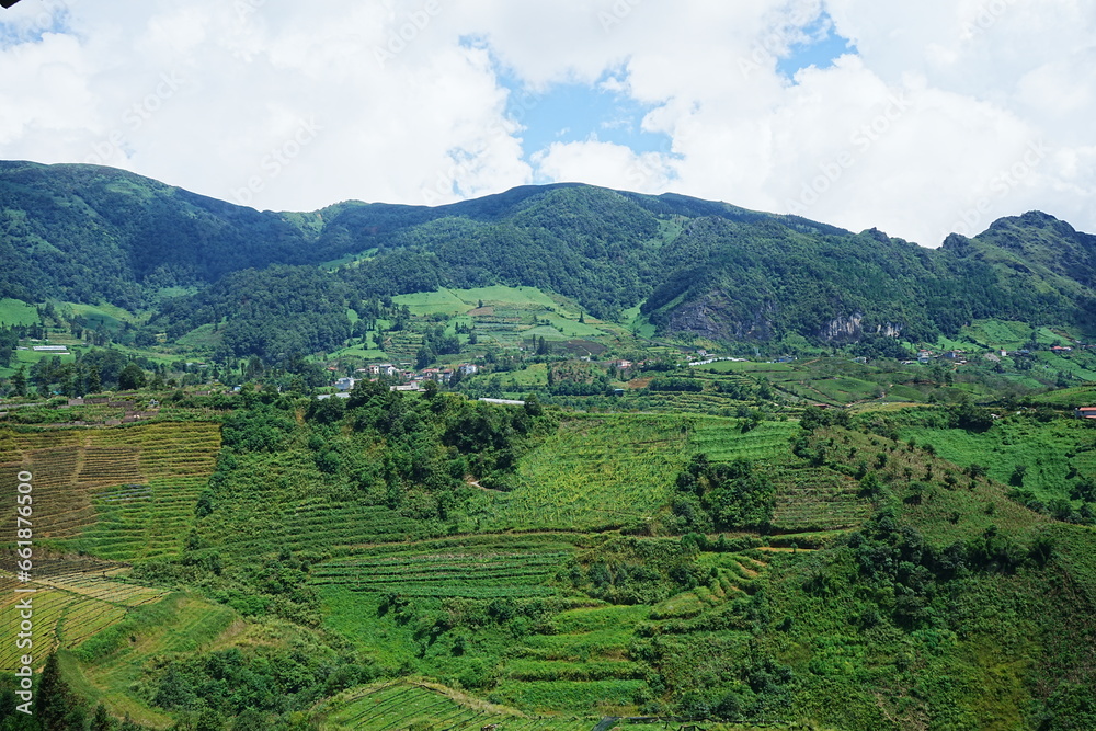 Amazing Rice Paddy or Rice Field in hidden Mountain, Sapa, Vietnam - ベトナム サパ 棚田