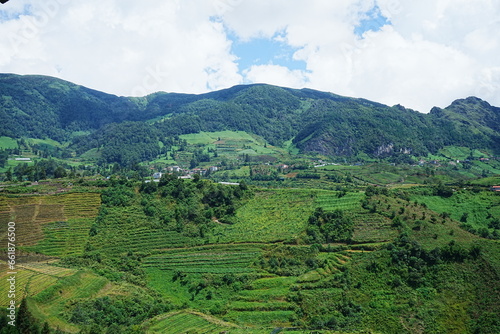 Amazing Rice Paddy or Rice Field in hidden Mountain, Sapa, Vietnam - ベトナム サパ 棚田