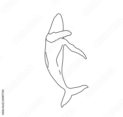Vector isolated one single swimming floating whale bottom view colorless black and white contour line easy drawing