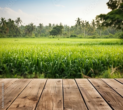 The seats are wooden and the background is a lush rice field. Created by AI