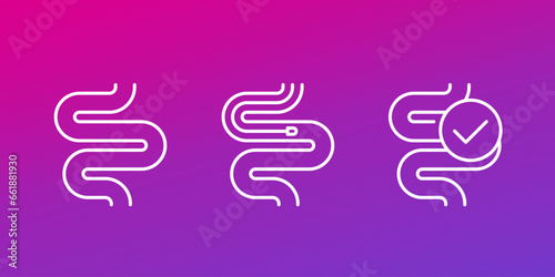 endoscopy icons, intestine and endoscope line vector