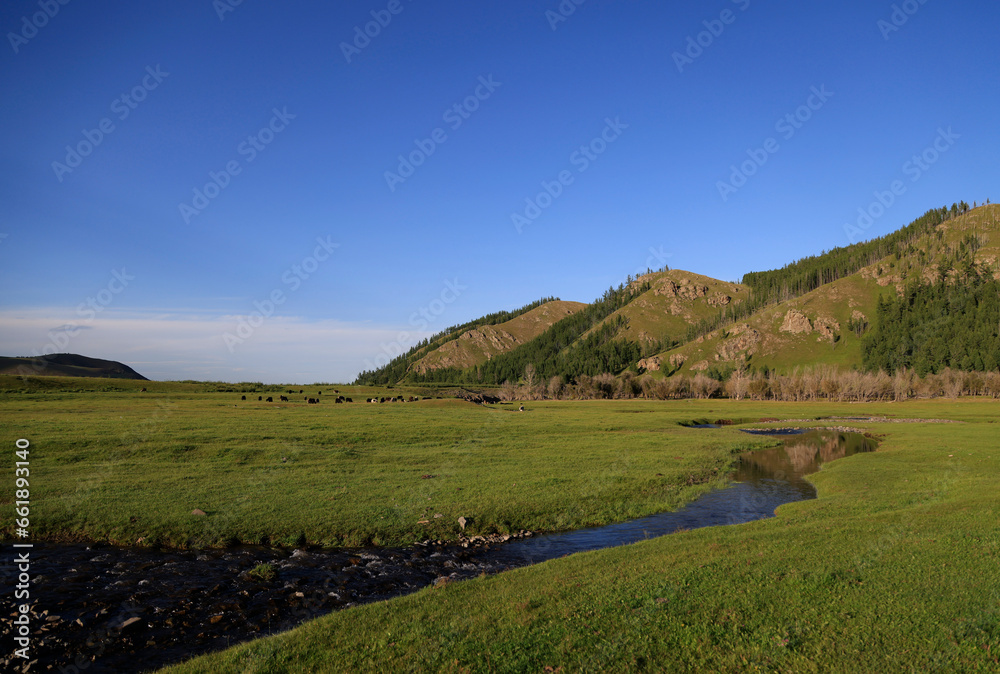 Fototapeta premium The lush valley of Tsenkher, Mongolia