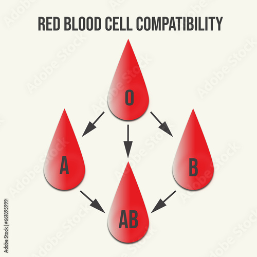 Red blood cell compatibility Blood Transfusion Donor Day