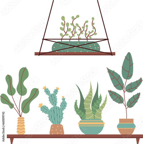 Different vector house plants photo