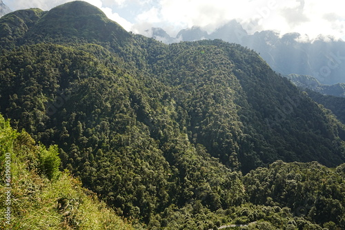 mountain path in Sapa  Vietnam -                           