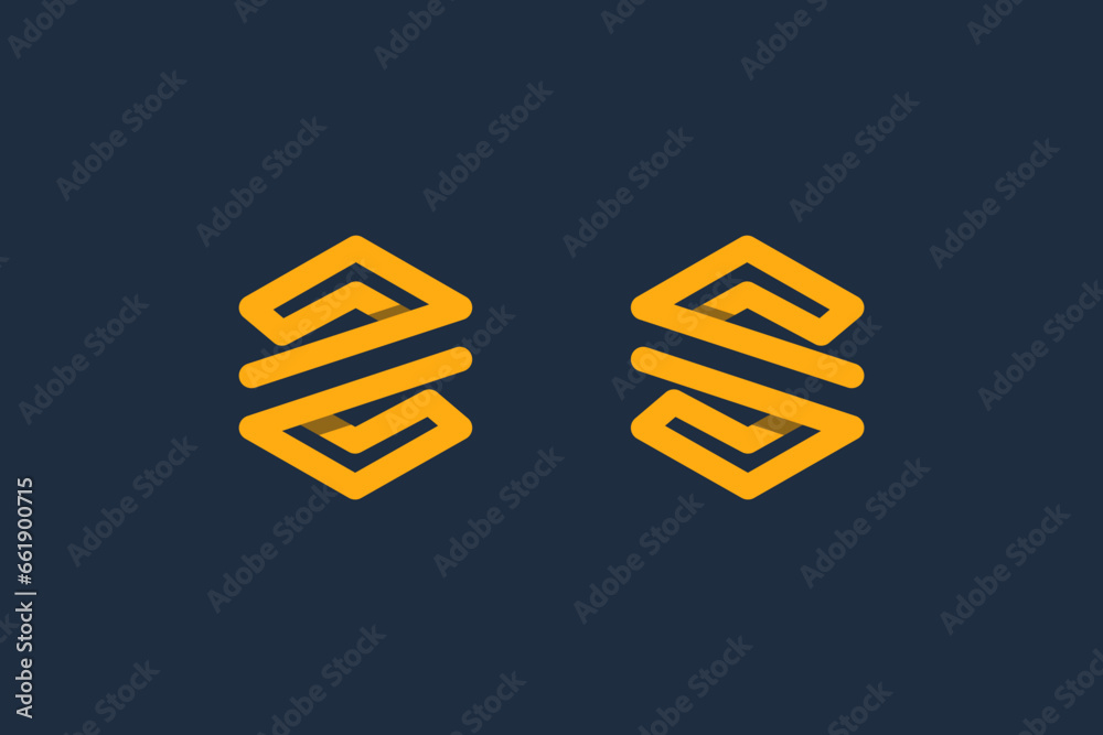 Hexagon S-shaped logo, unique and elegant