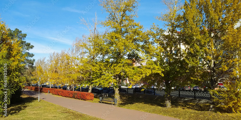 Fototapeta premium Trees and plants in an autumn park on a sunny day