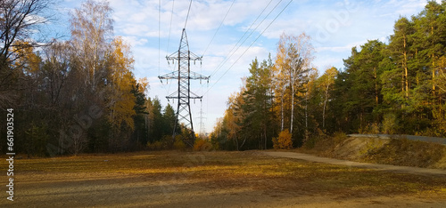 Power lines in the middle of an autumn forest in the evening sun