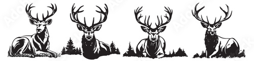 Deer head  black and white vector  silhouette shapes illustration