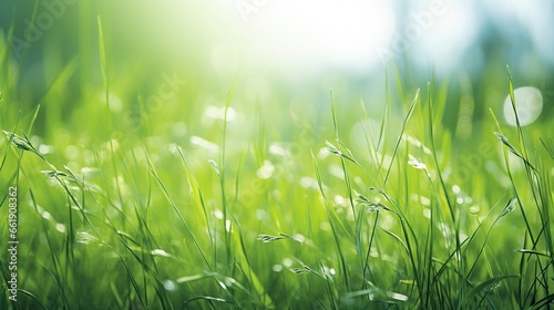 Green natural green grass blurry background. AI generated image