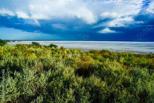 Broken dry soil in a Pampas lagoon, La Pampa province, Patagonia, Argentina.