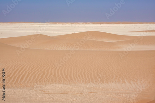 Panorama of small dunes of the Rub Al Khali desert with streaks of golden sand and an expanse of limestone on the horizon from the blue sky. Oman.