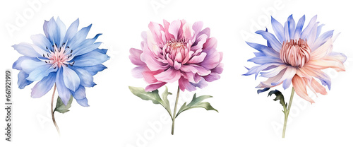 watercolor flowers, a set of illustrations in handmade watercolor style on a white background, generative ai