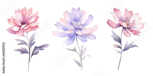 watercolor flowers  a set of illustrations in handmade watercolor style on a white background  generative ai