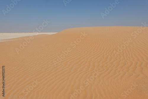 Large golden dune with undulating vertical sand movement and white limestone formations on the horizon. Oman.