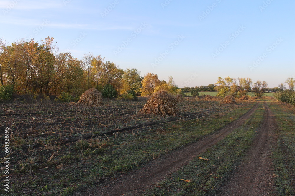 A dirt road with hay stacks in the middle