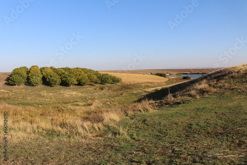 Fototapeta Naklejka Na Ścianę i Meble -  A grassy field with trees