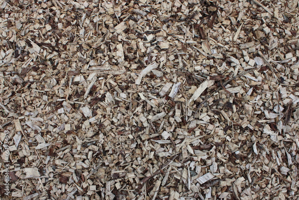 Background picture of fresh wood chips Background picture of fresh wood chips