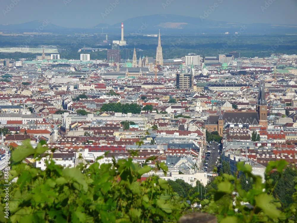 Ein Weingarten am Wilhelminenberg mit Blick über Wien.	