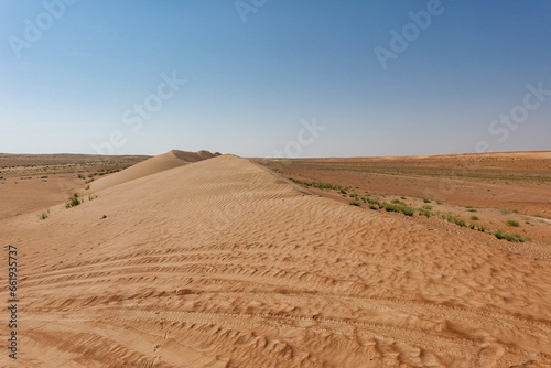 On the crest of a dune in the Wahiba sand desert.
