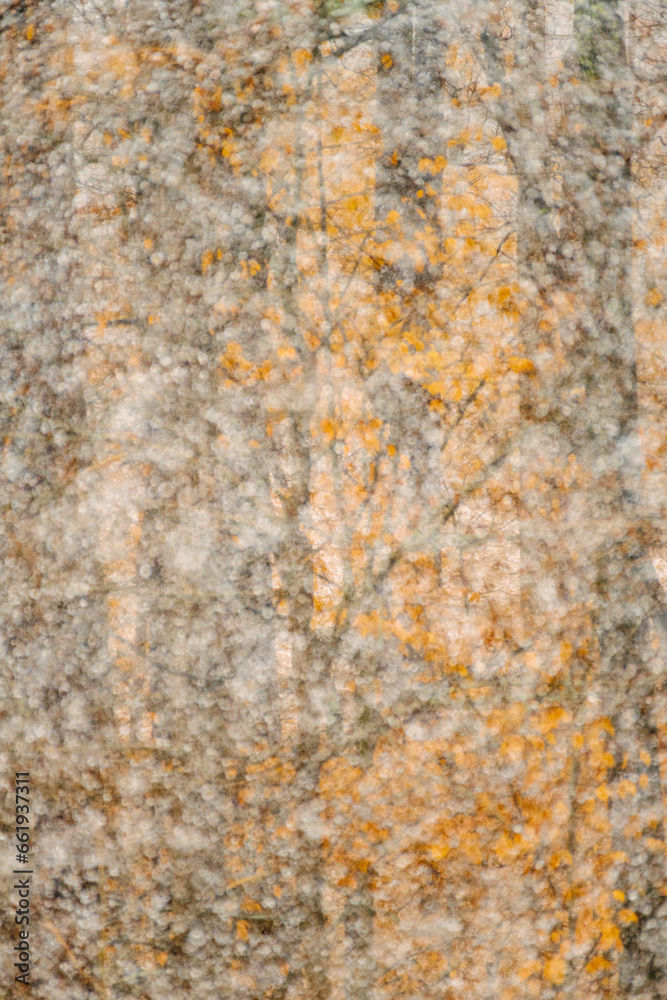 Abstract view of snow falling against colorful leaves in Chapel Hill, North Carolina Abstract view of snow falling against colorful leaves in Chapel Hill, North Carolina