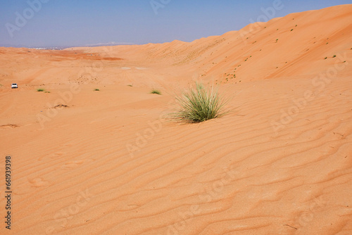 Wahiba sand orange desert on the horizon a white jeep.