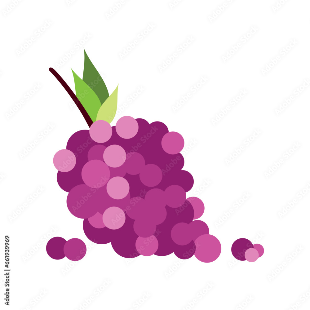 grapes fruit purple