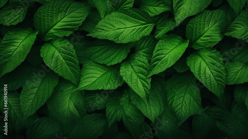 Green leaves naturally texture background. AI generated image