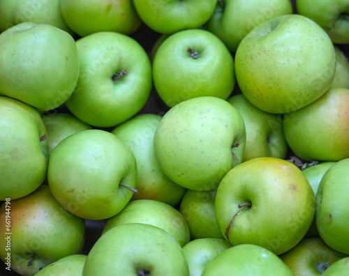 fresh green apple as fruit background