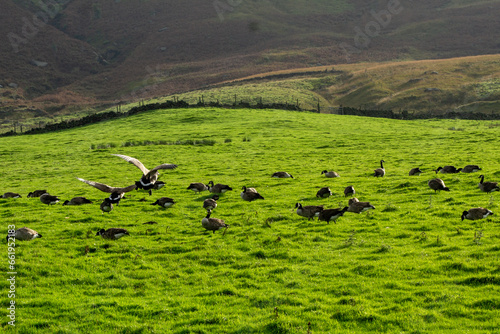 Dovestones Reservoir, Peak District,Saddleworth Moor photo