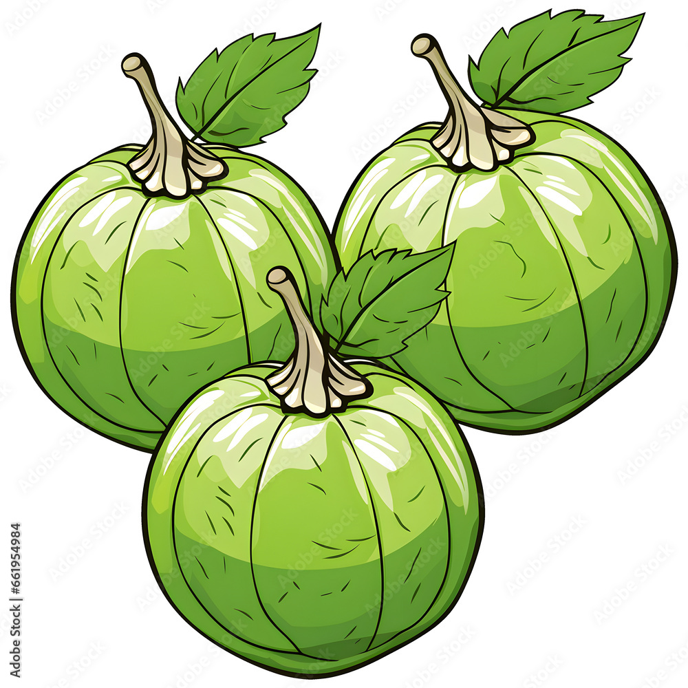 cartoon clipart of Tomatillos, food clipart, vegetables clipart