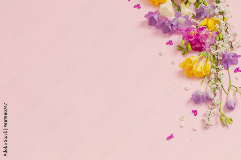 Fototapeta premium spring flowers on pastel pink background